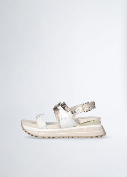 BA5081EX289S360441-brown