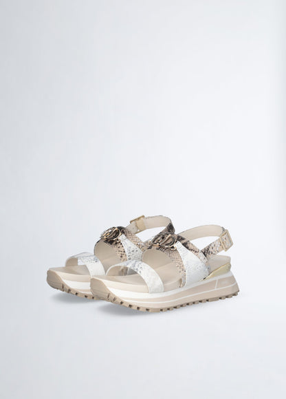 BA5081EX289S360441-brown
