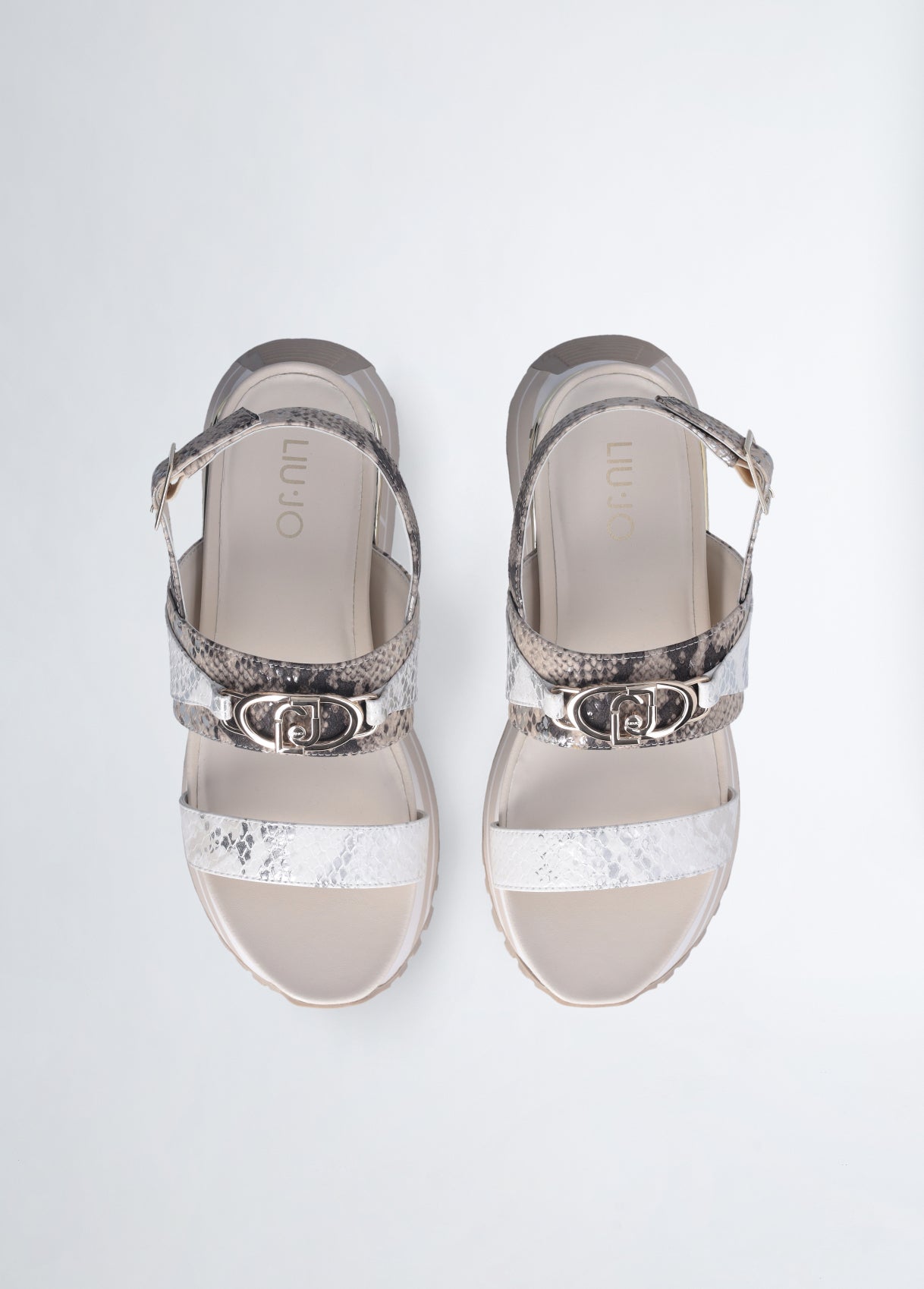 BA5081EX289S360441-brown