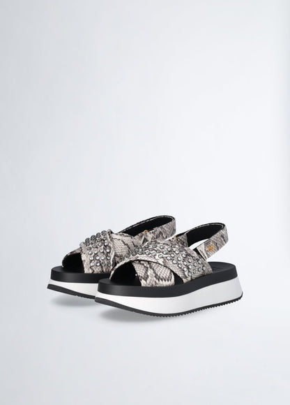 BA5089EX308S305235-python print