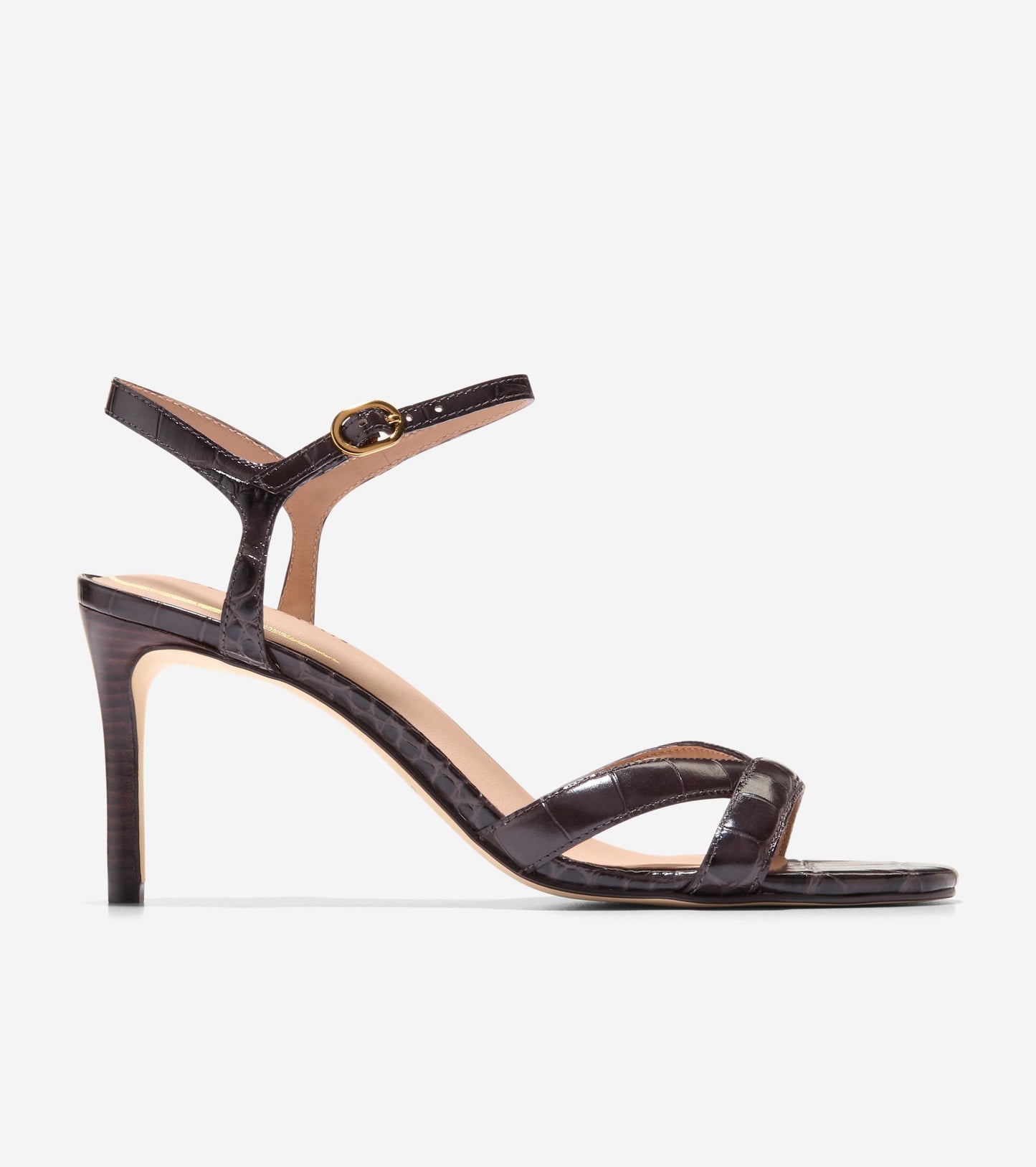 W34657:DK CHOCOLATE CROC PR LT