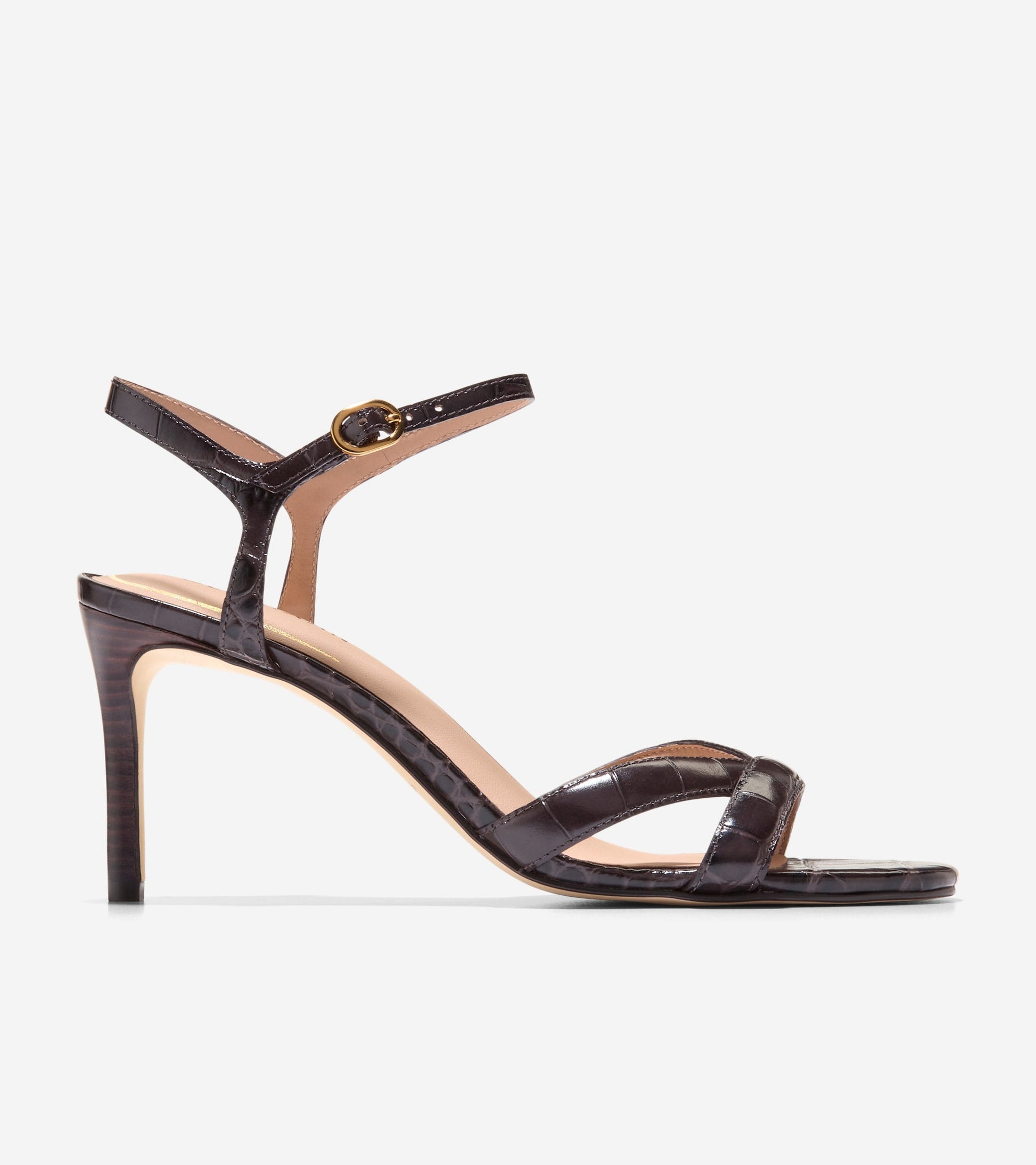 W34657:DK CHOCOLATE CROC PR LT