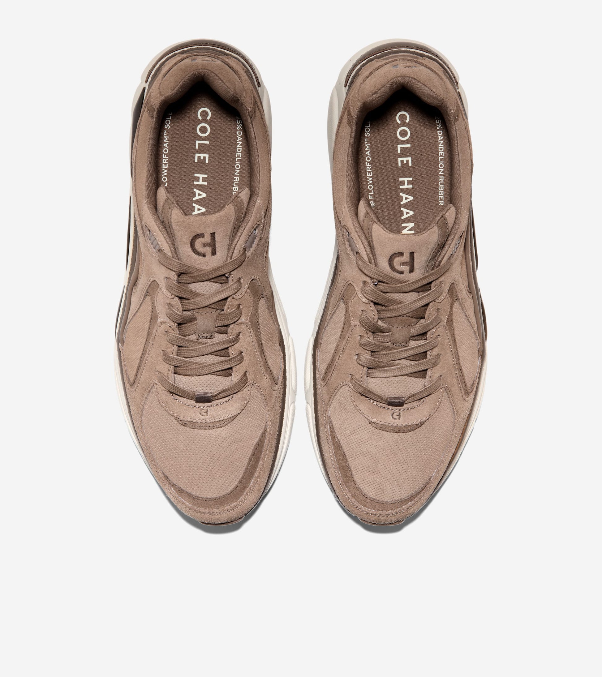 C42250:CH IRISH COFFEE / MOREL / SILVER BIRCH