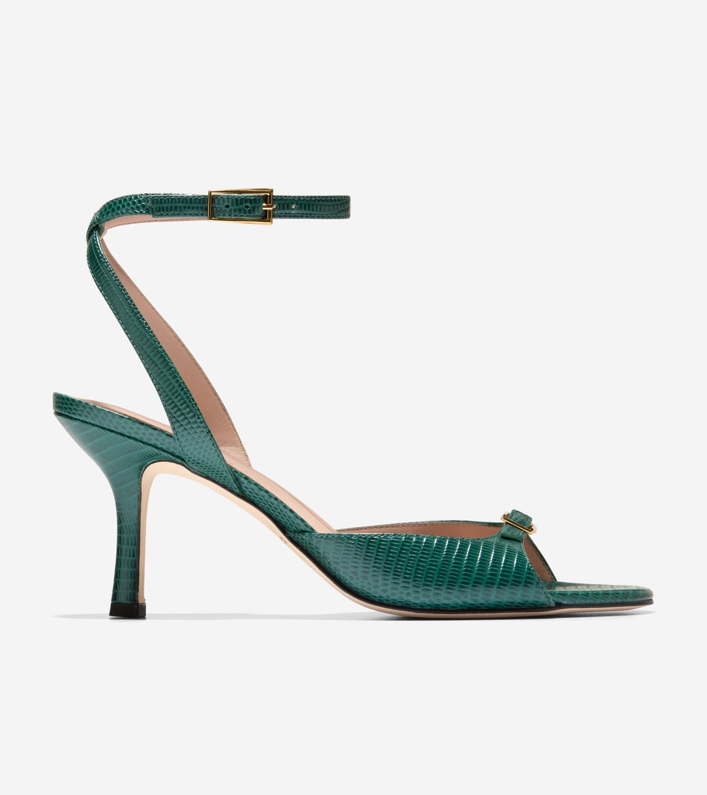 W33511:RAINFOREST LIZARD PRT LTR