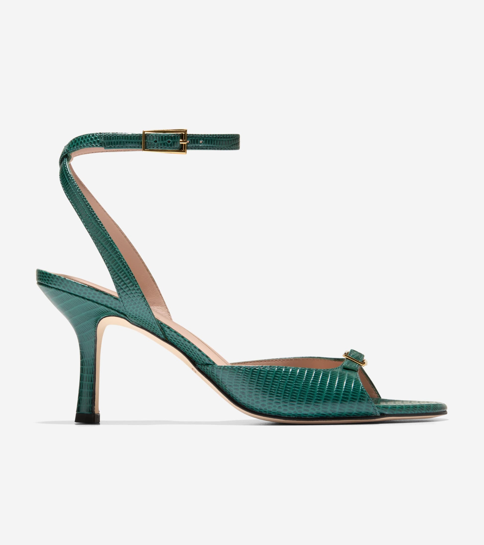 W33511:RAINFOREST LIZARD PRT LTR