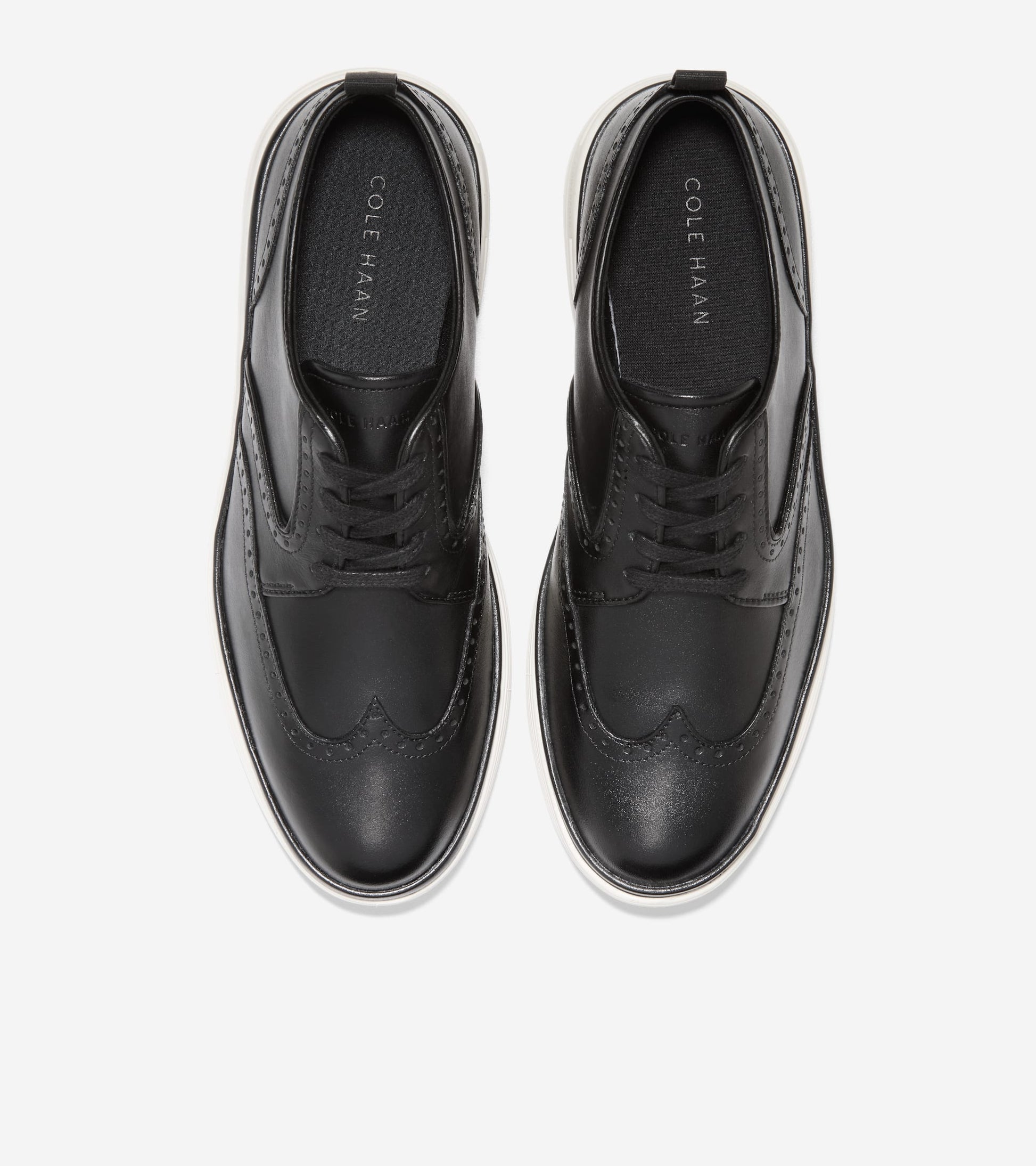 W33787:BLACK LTR