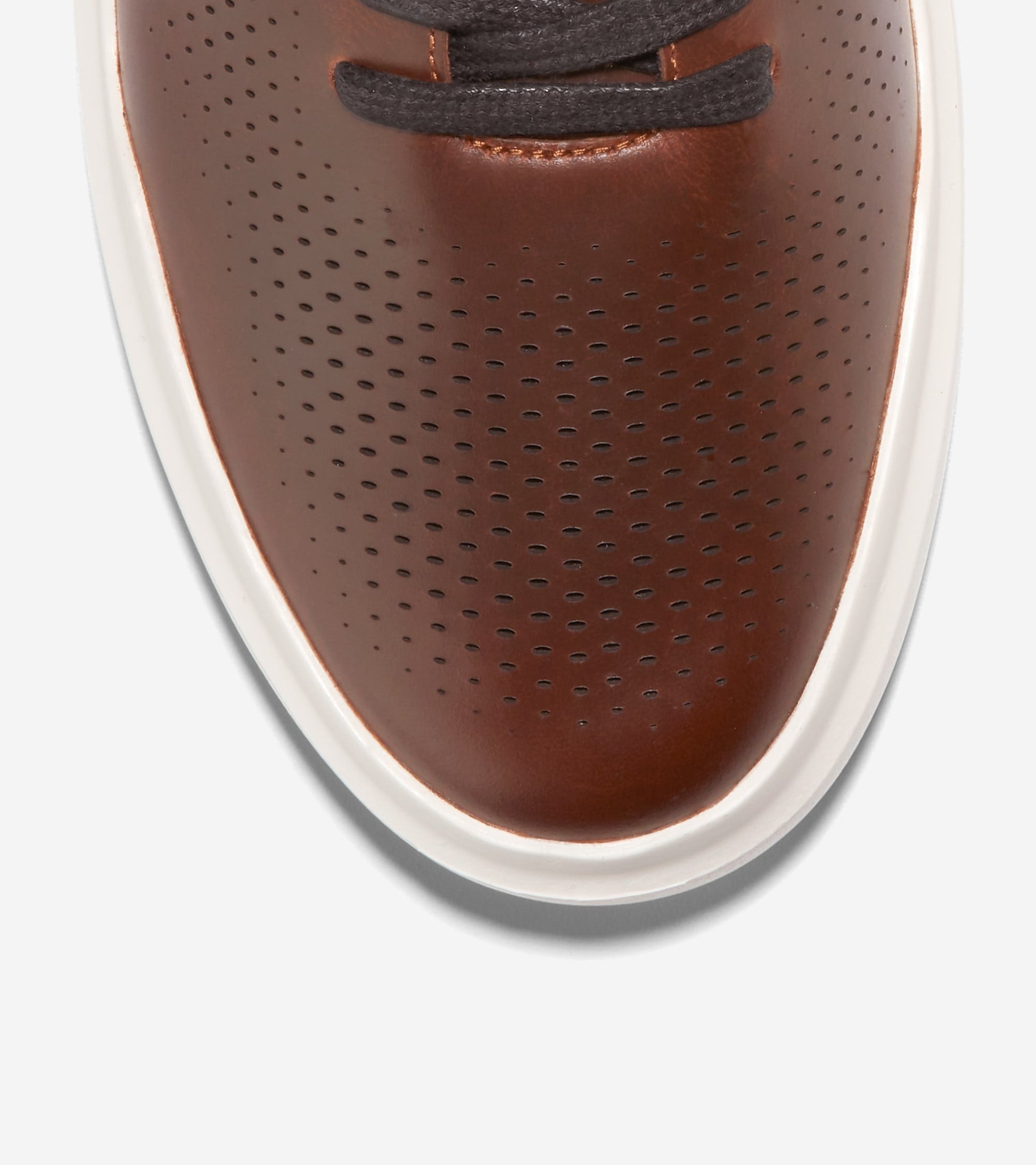 C38963:ACORN/SESAME/IVORY