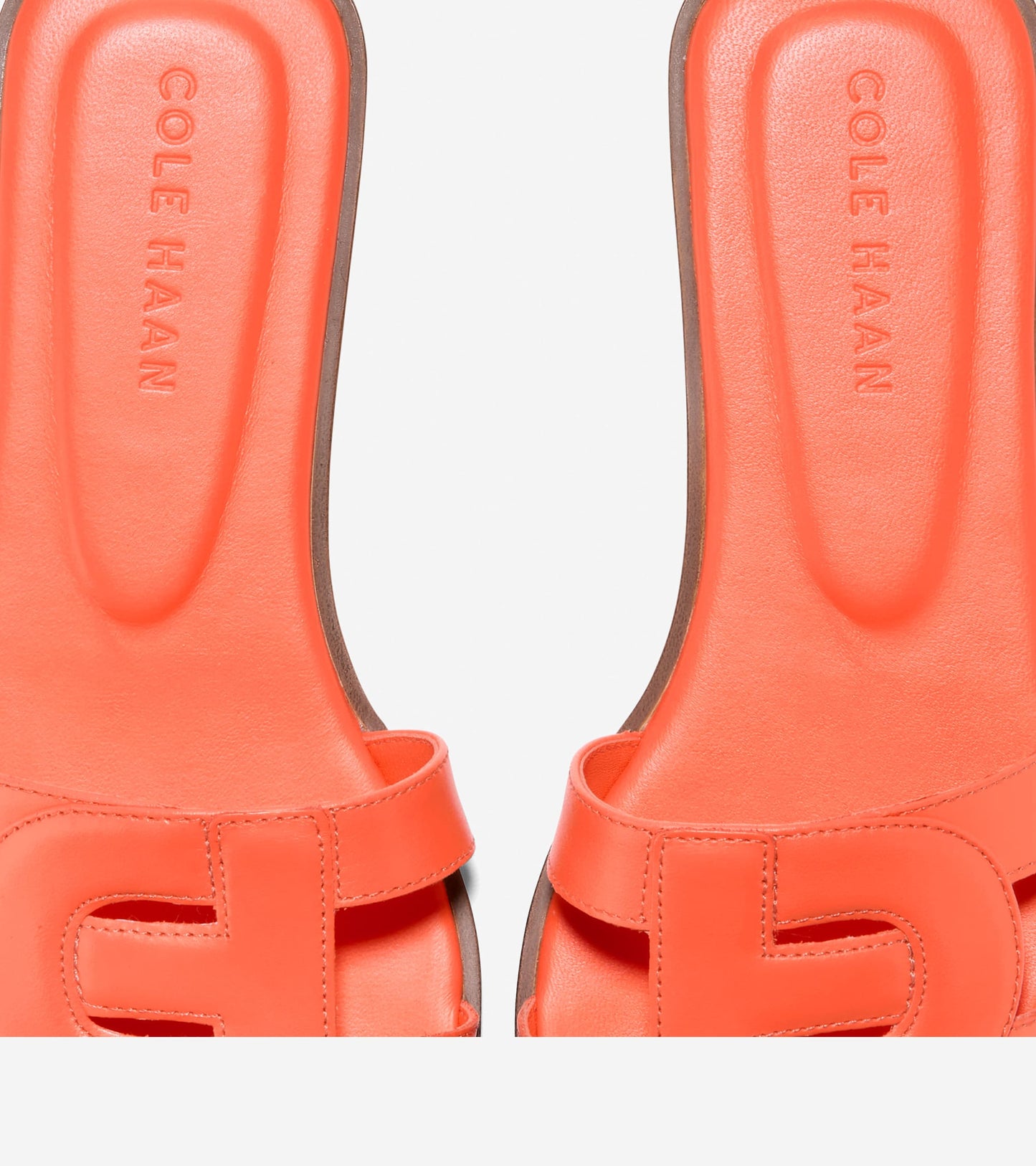 W31229:NASTURTIUM LTR