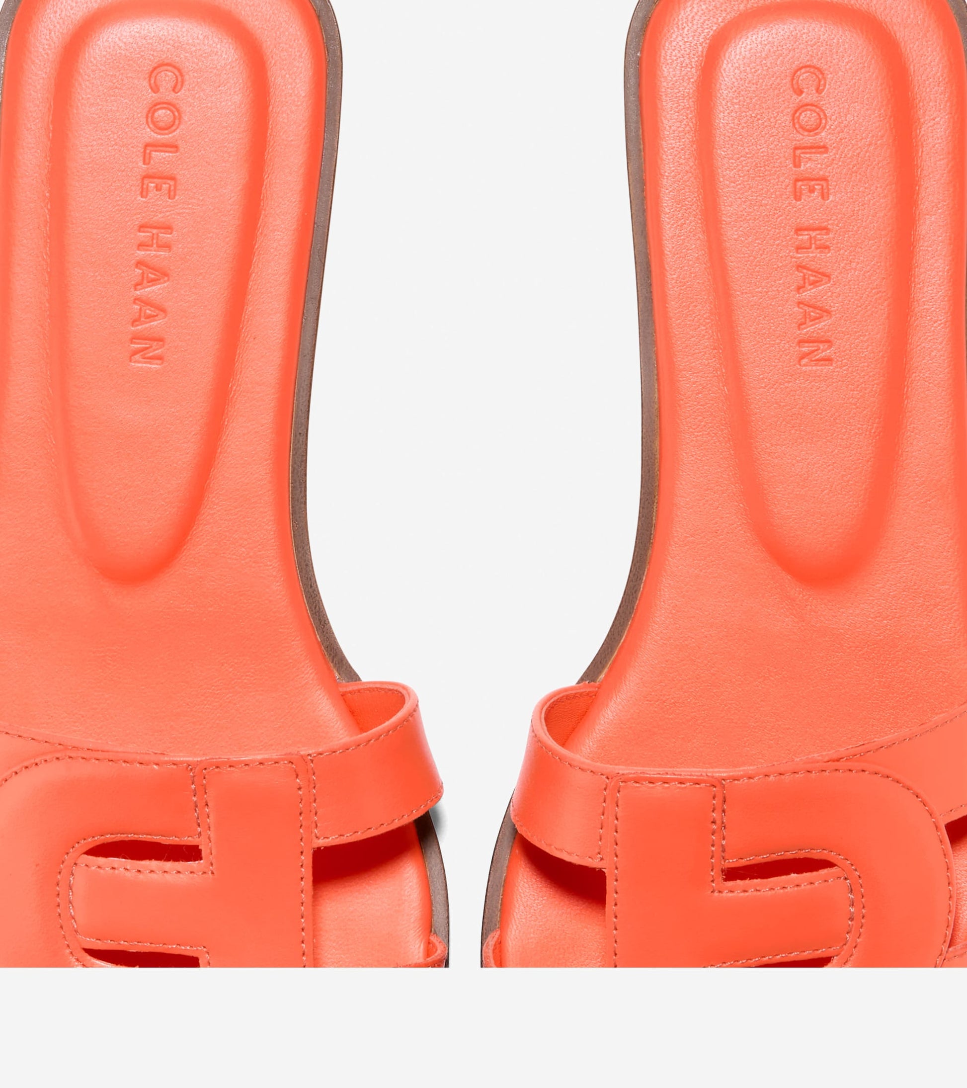 W31229:NASTURTIUM LTR