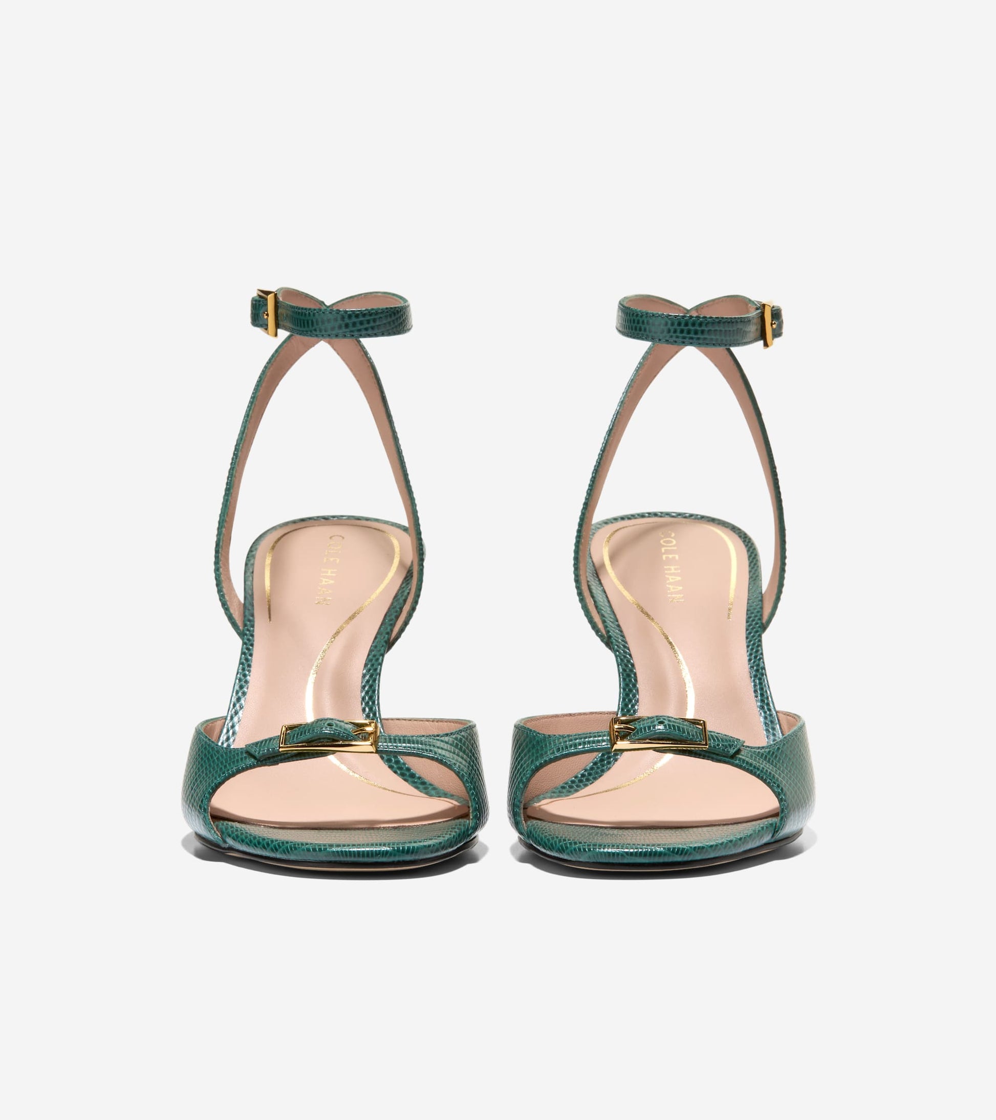 W33511:RAINFOREST LIZARD PRT LTR