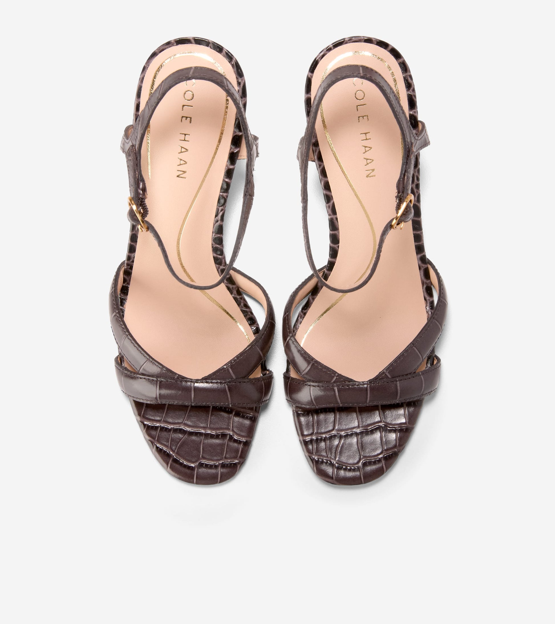 W34657:DK CHOCOLATE CROC PR LT
