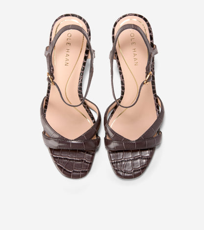 W34657:DK CHOCOLATE CROC PR LT