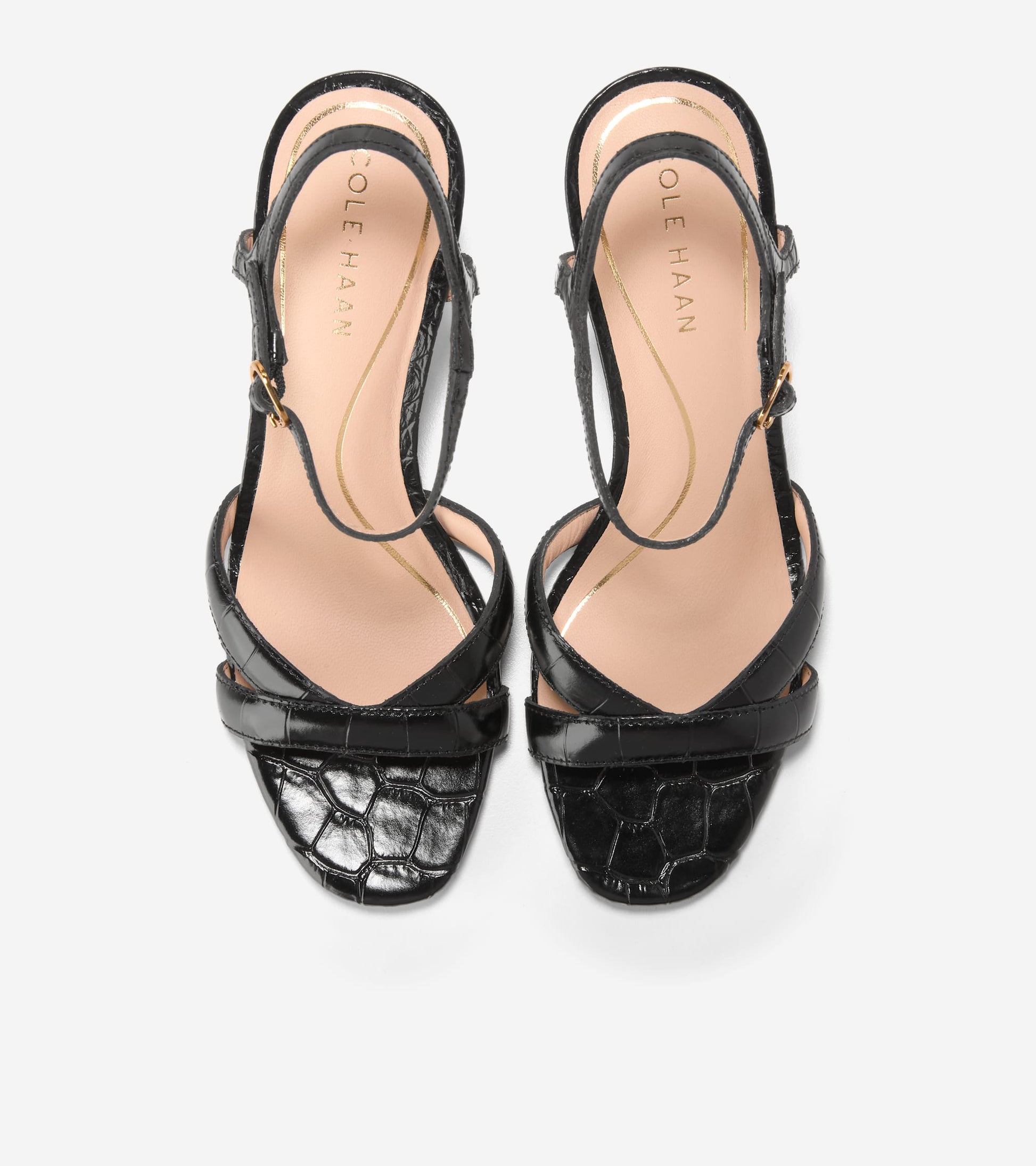 W34656:BLACK CROCO PRINT LEA