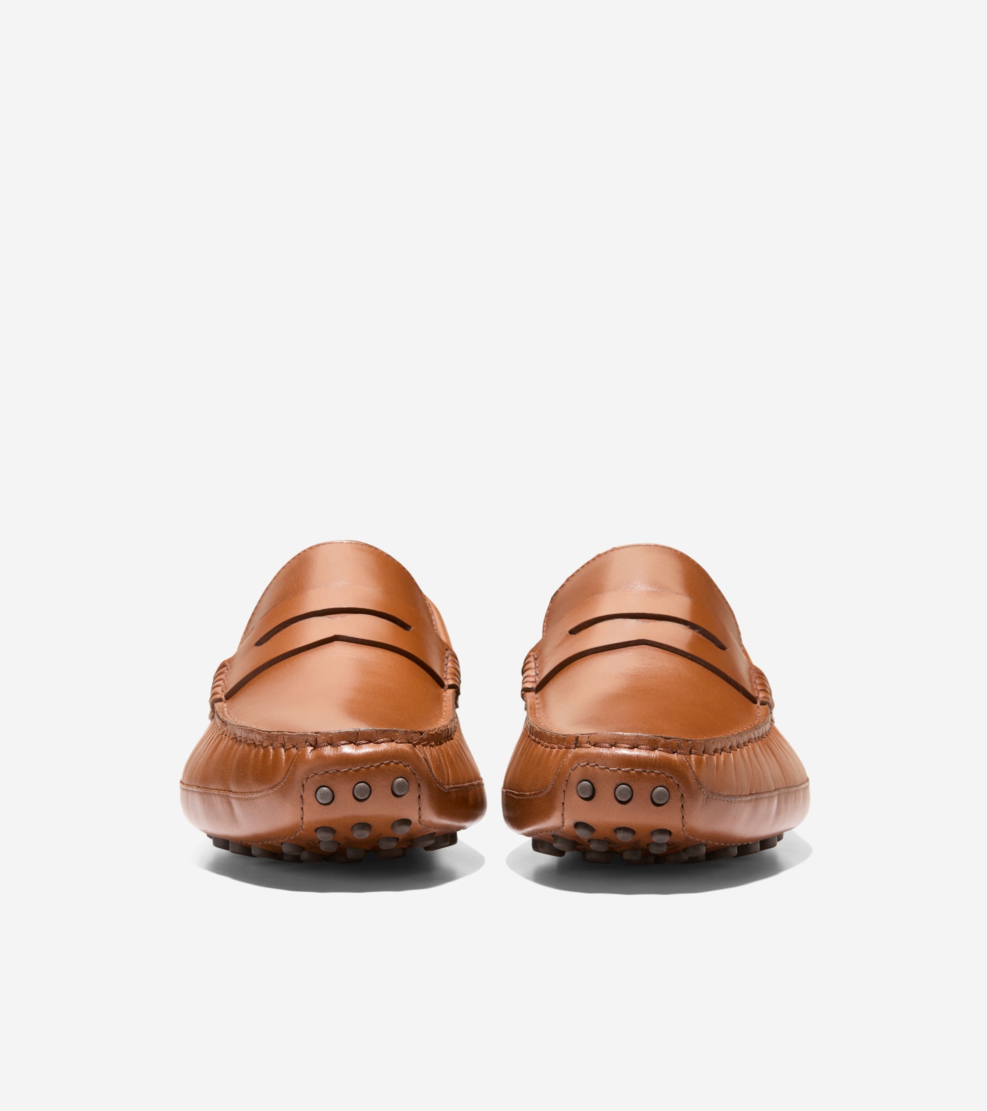 C41727:CH BRITISH TAN /CH JAVA