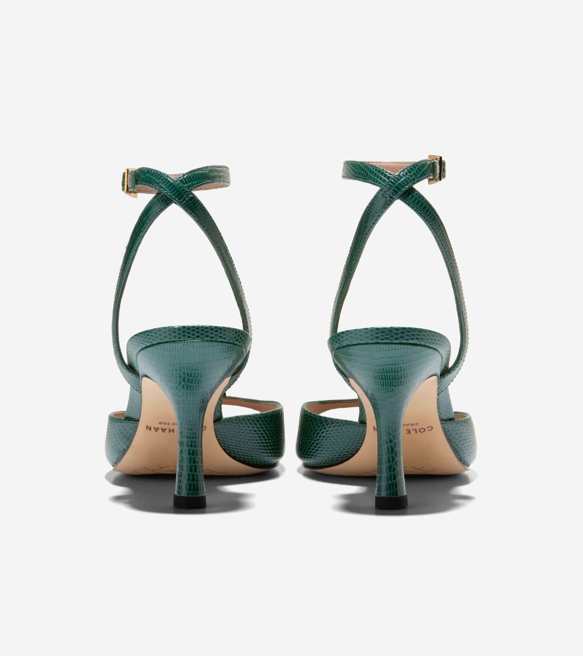 W33511:RAINFOREST LIZARD PRT LTR