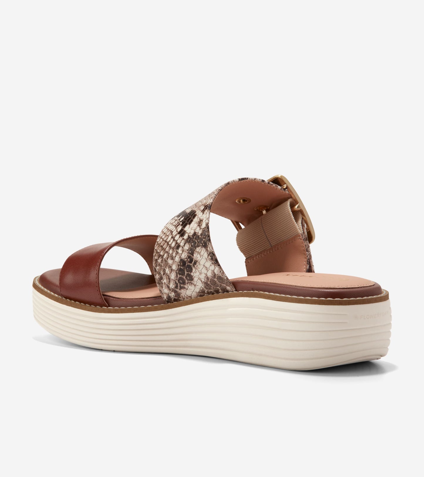 W29421:SANDOLLAR SNAKE PRINT/DK CUOIO/IVORY