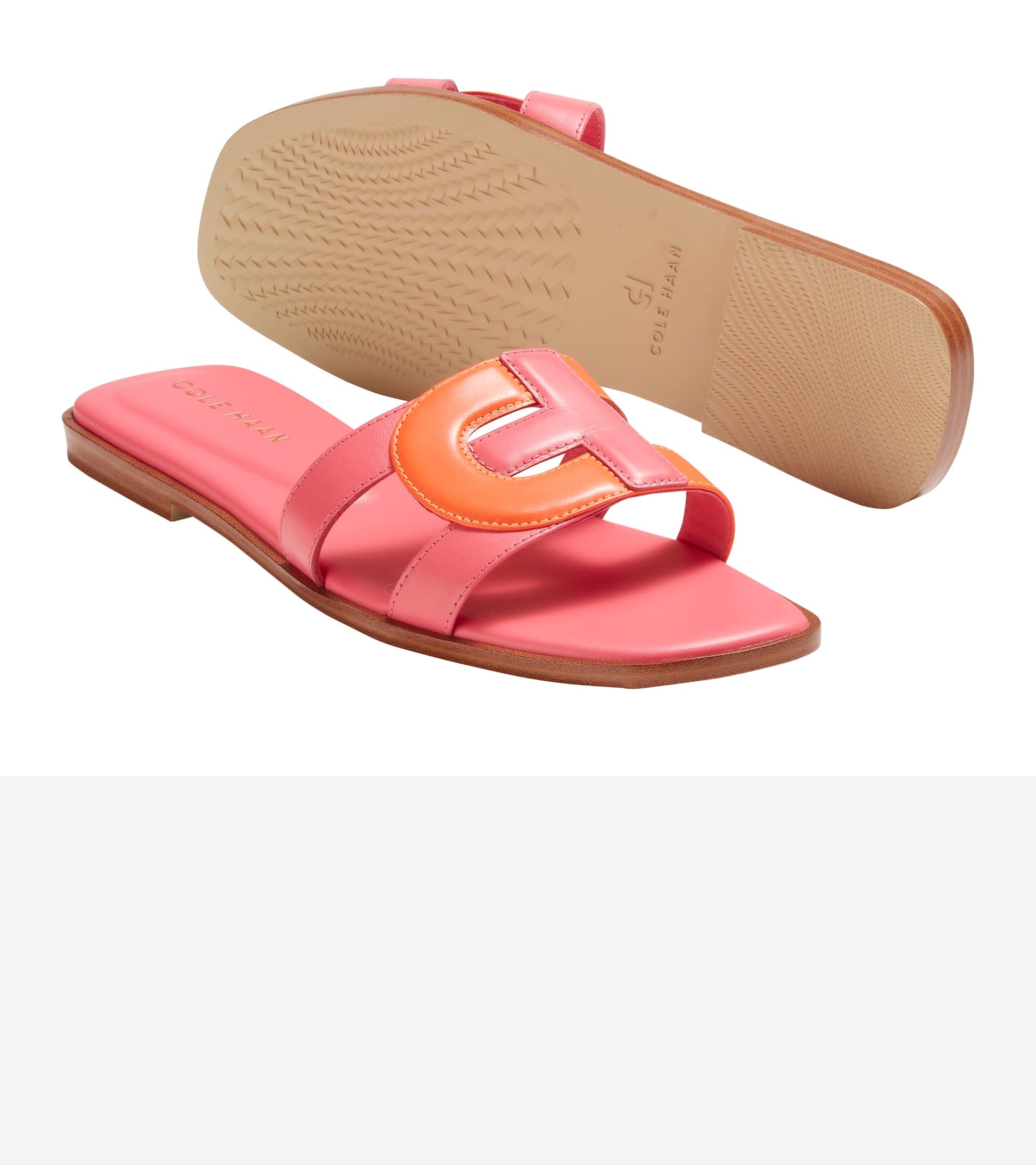 W31229:NASTURTIUM LTR