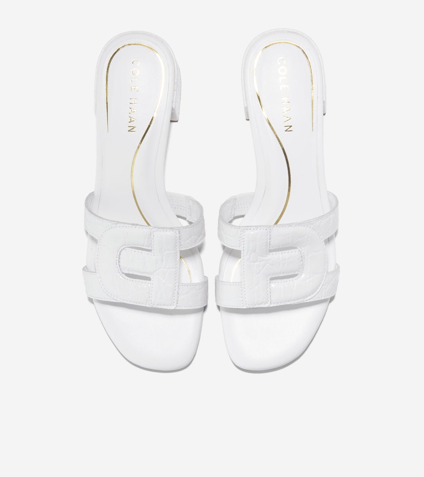 W31613:WHITE CROC PRT LTR