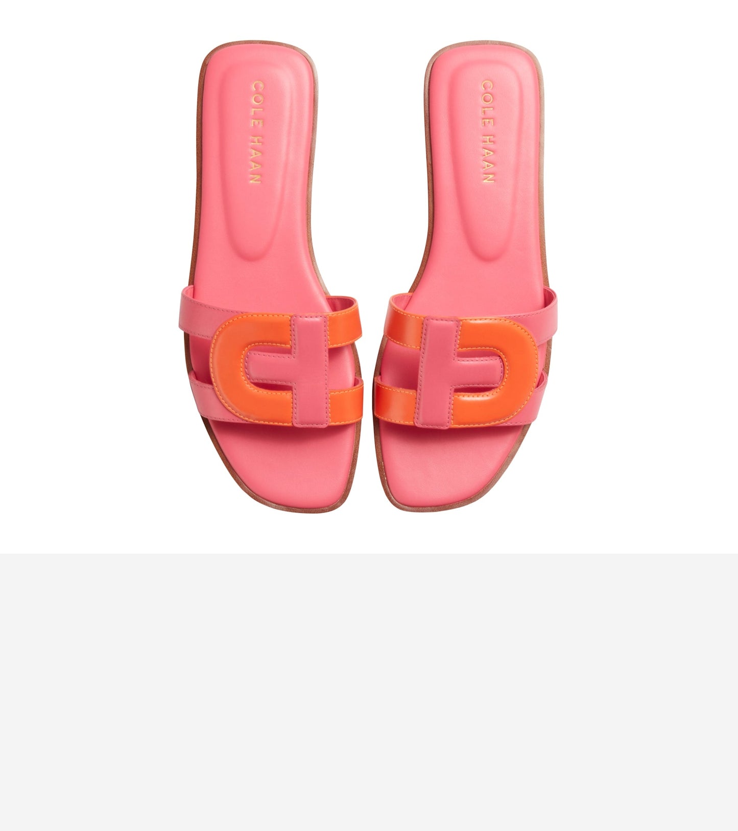 W31229:NASTURTIUM LTR