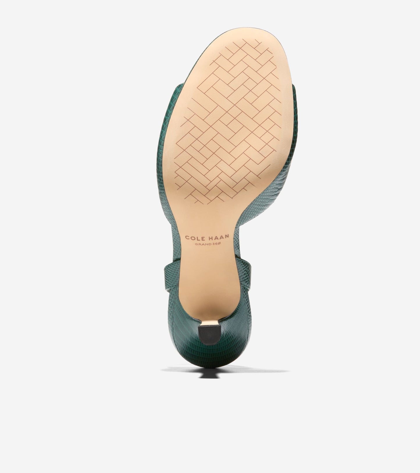 W33511:RAINFOREST LIZARD PRT LTR