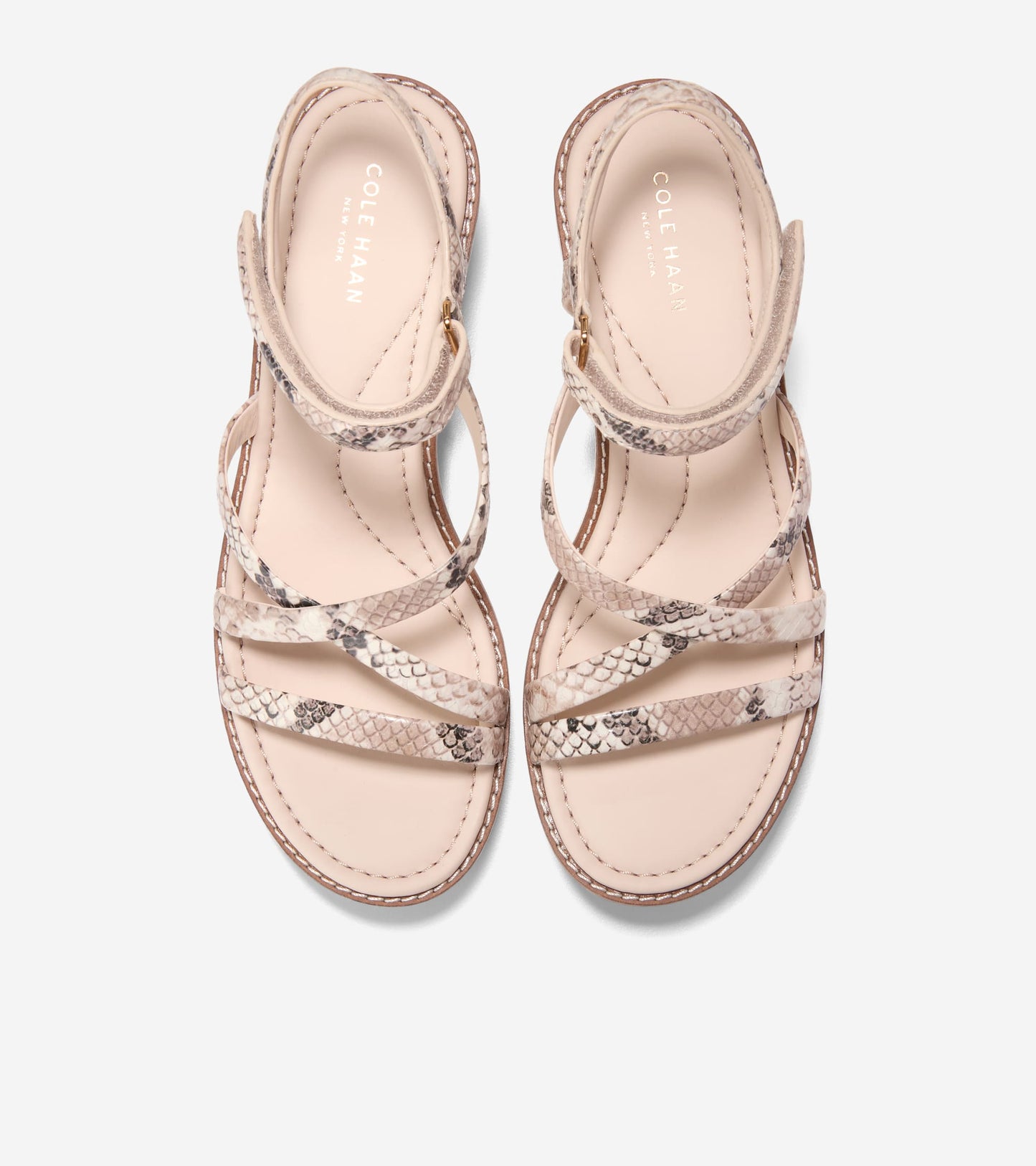 W36342:MOJAVE SNAKE PRINTED LEATHER / CH POWDER