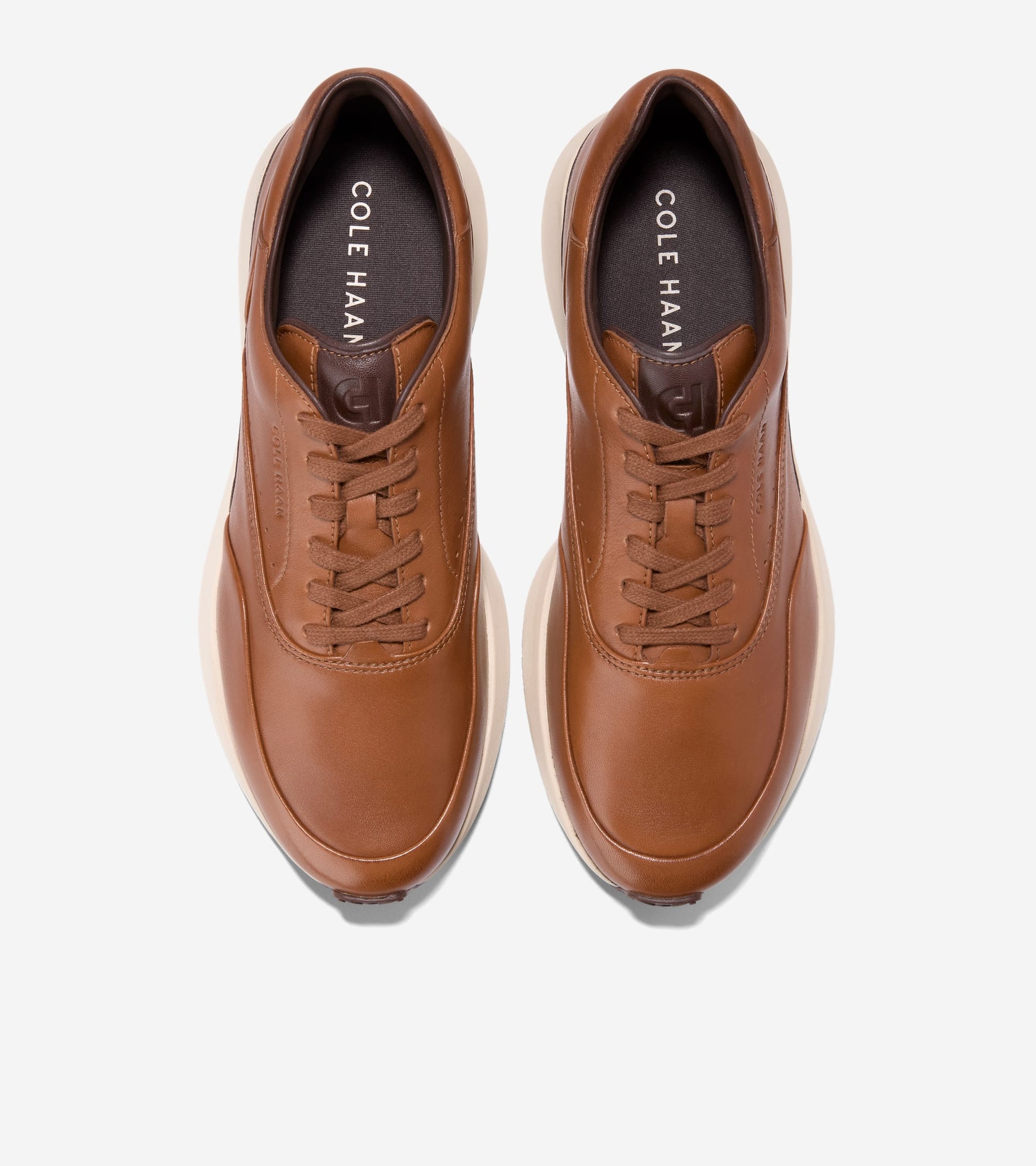 C43047:CH BRITISH TAN / CH MADEIRA / ANGORA