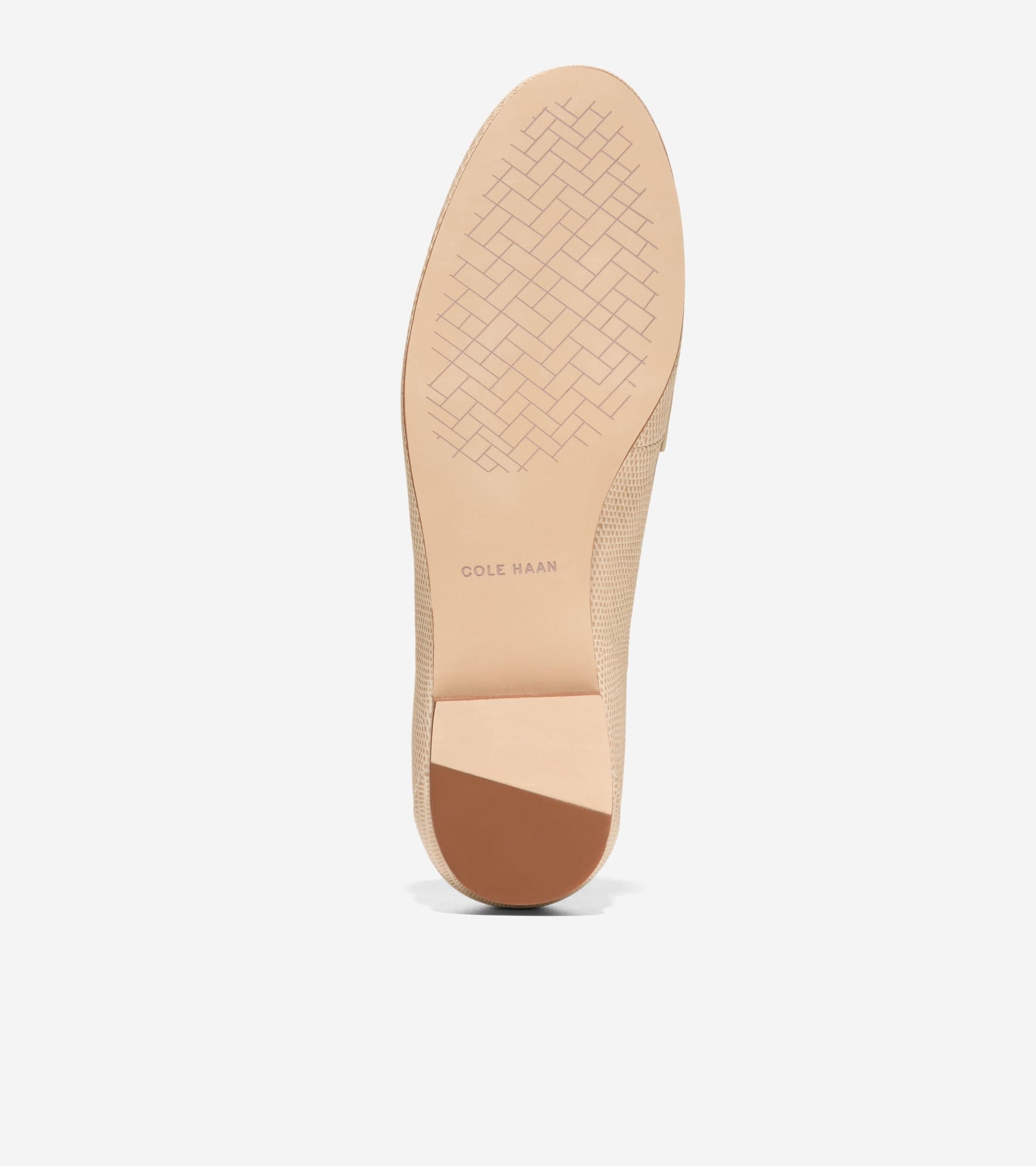 W33474:OAT LIZARD PRT LTR