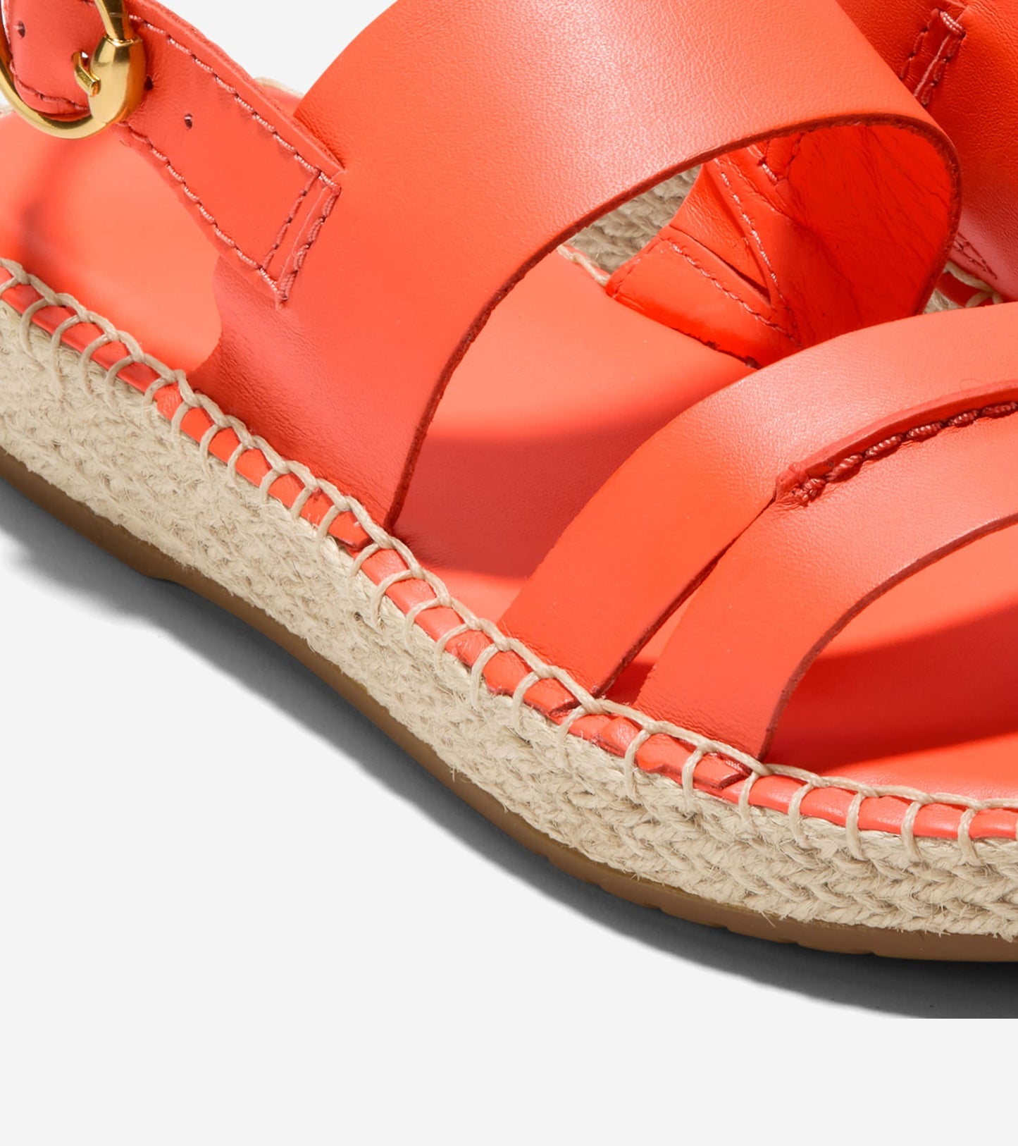 W31183:NASTURTIUM LTR