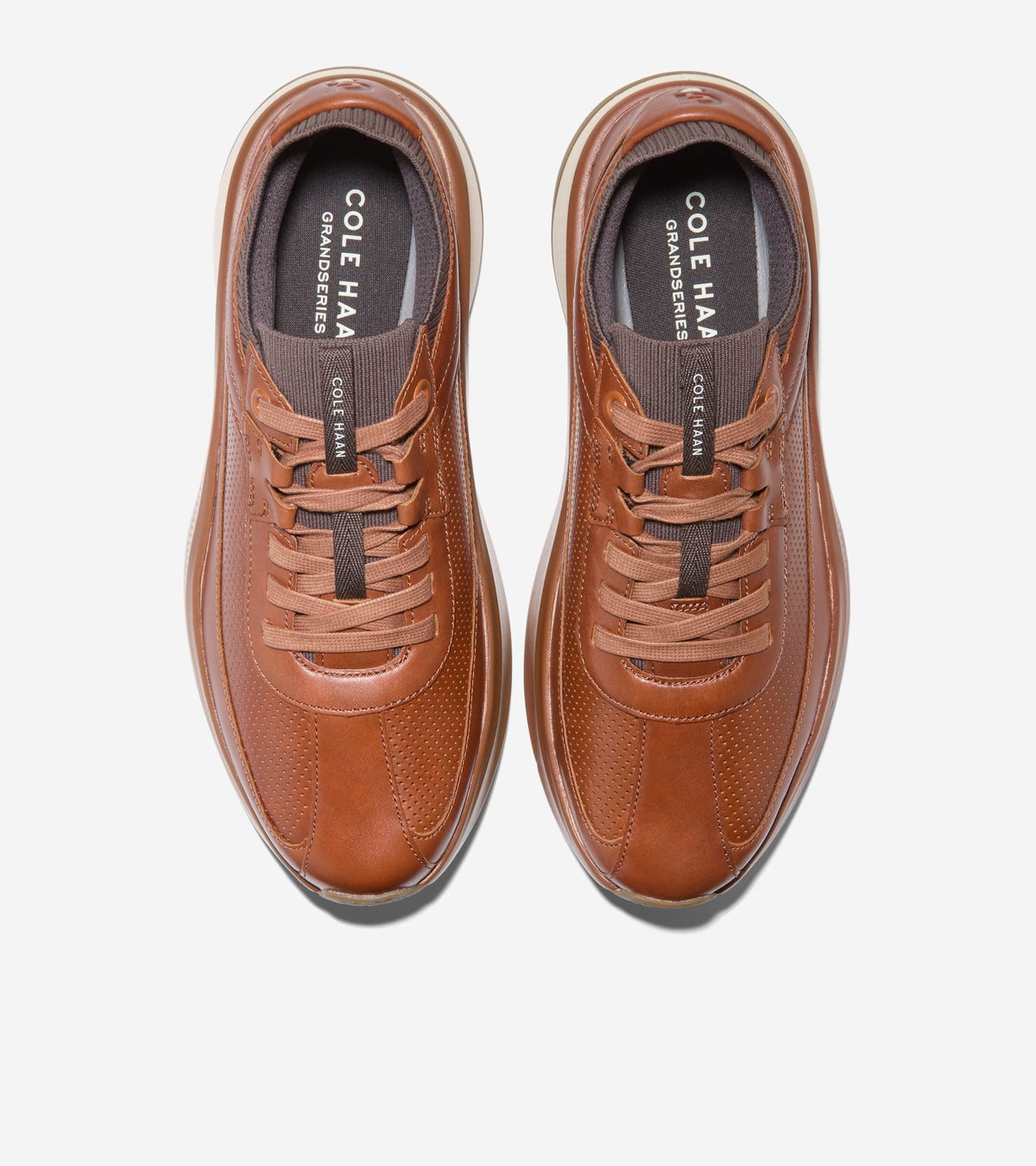 C42332:CH BRITISH TAN / CH DK CHOCOLATE / IVORY