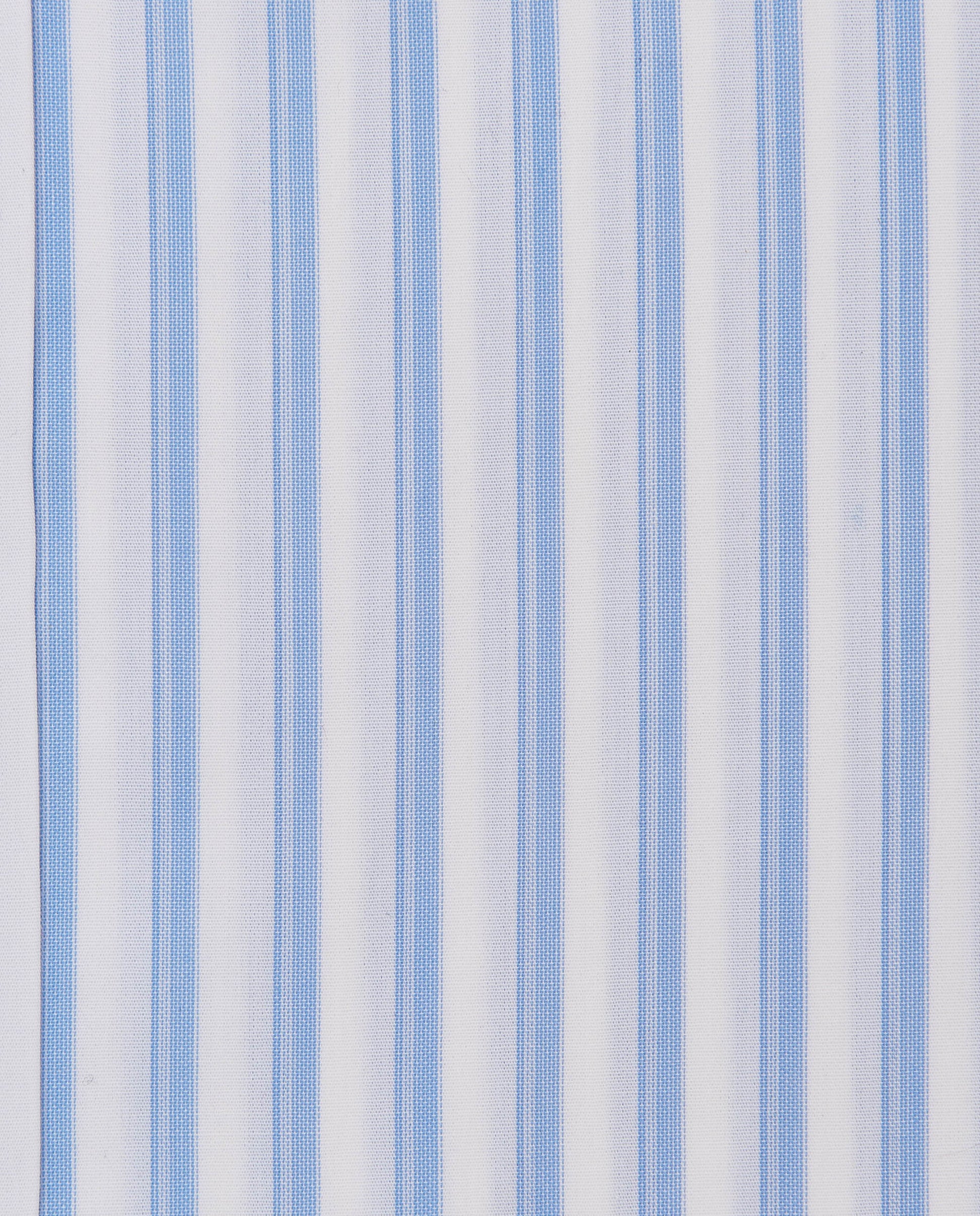 CCCHLLPBG028075LIGHT BLUE