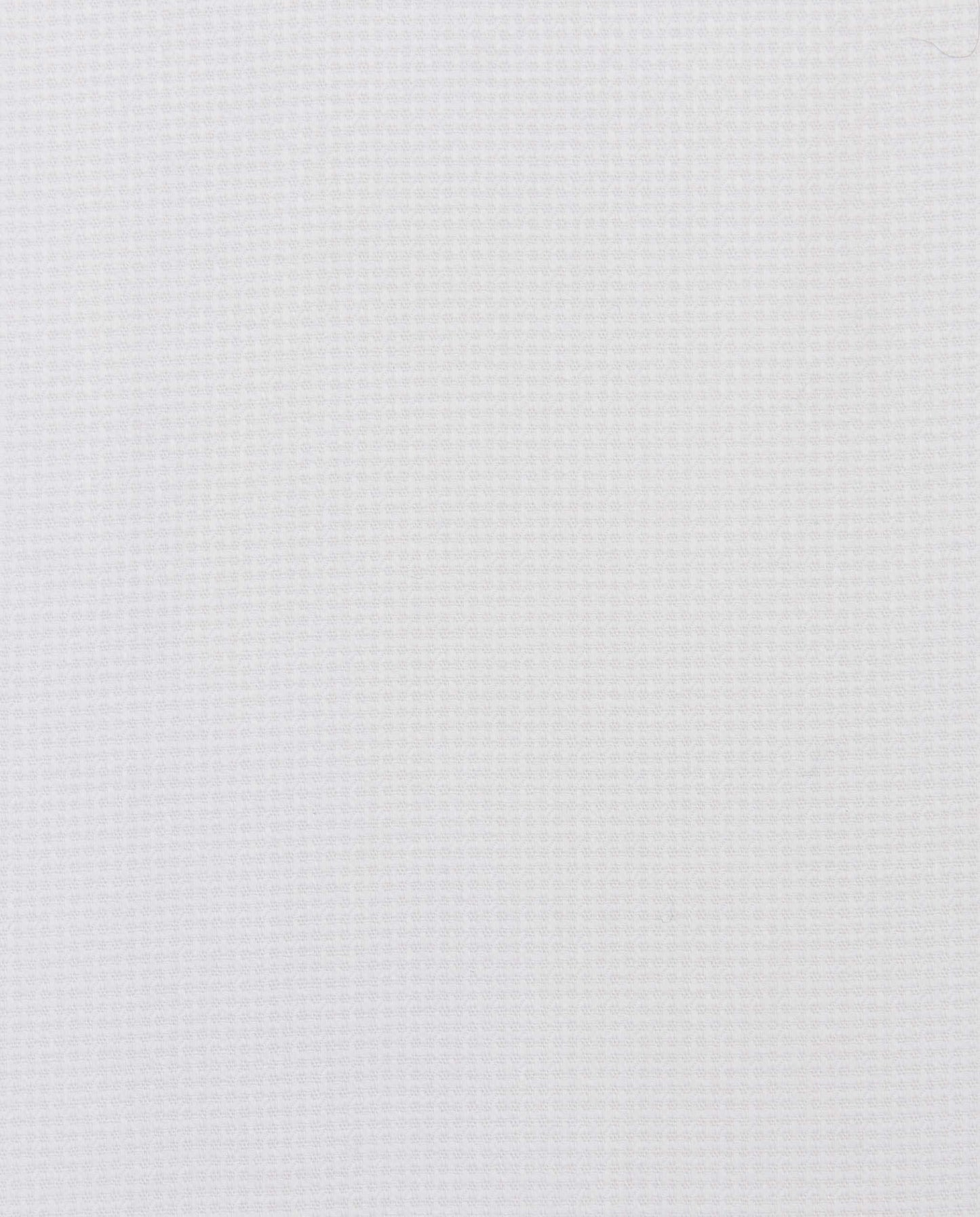 CCCHLLPBG028133WHITE