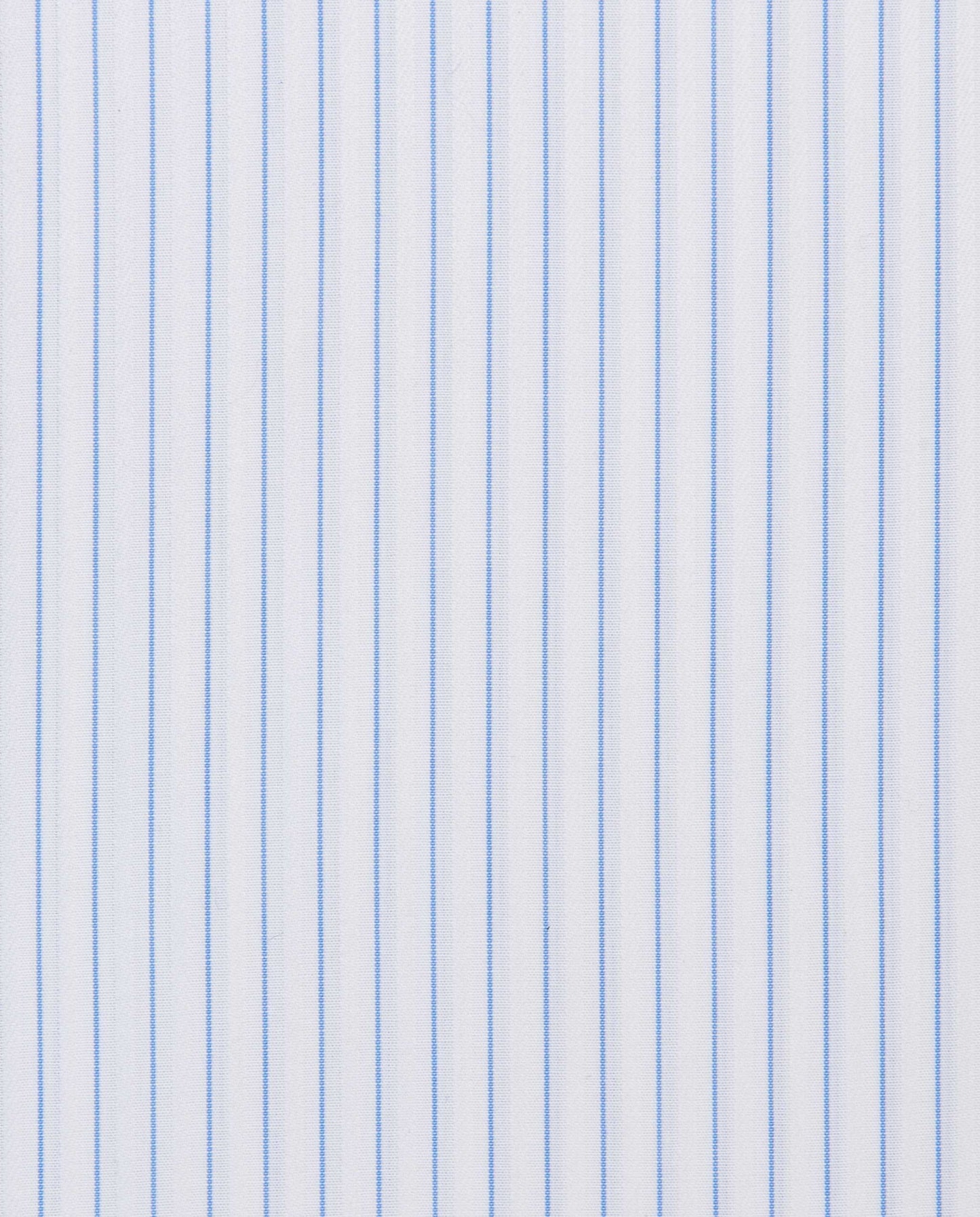 CCCHLLPBG028157LIGHT BLUE