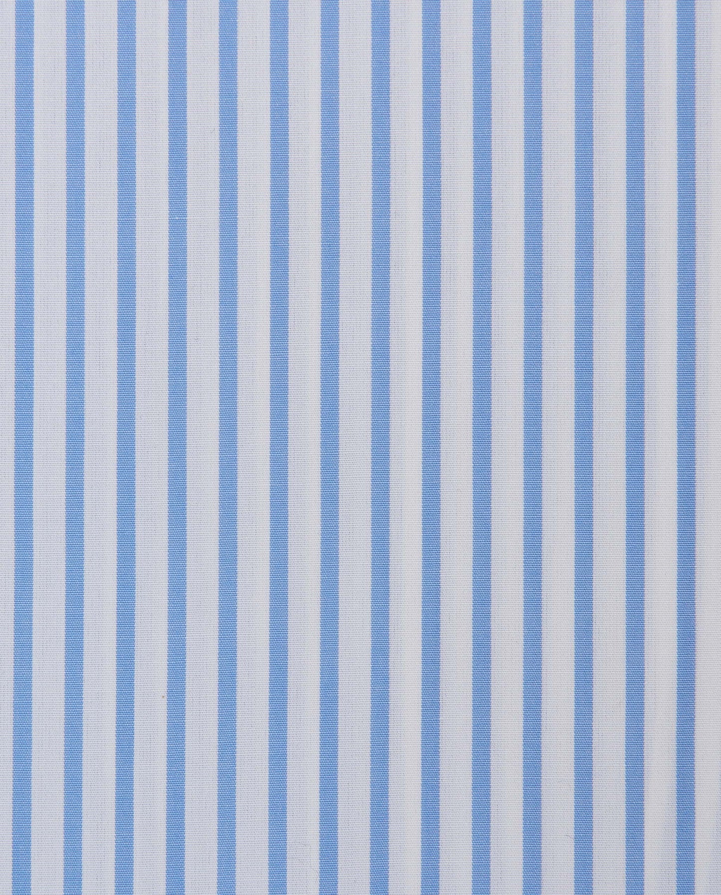 CCCQLLPBG024995LIGHT BLUE