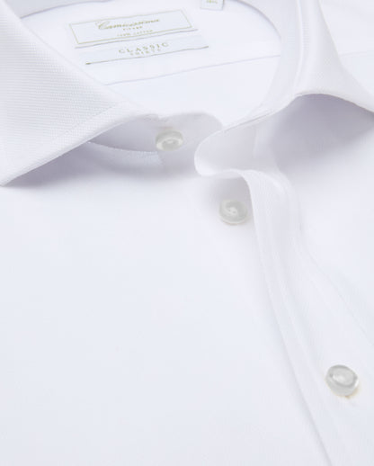 CCCQLMPBG029676WHITE
