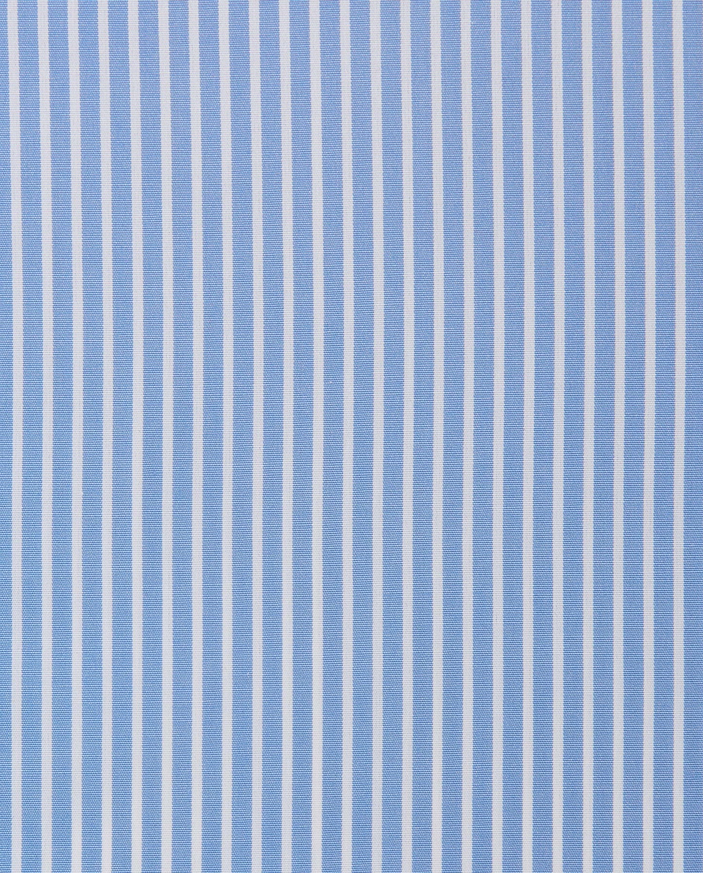 CCCRLLPBG024997LIGHT BLUE