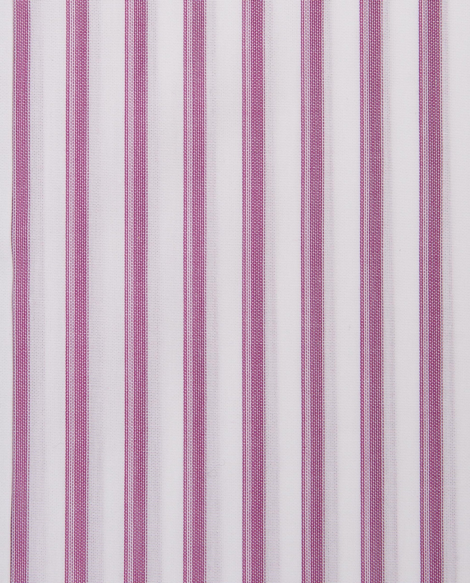 CCCRLLPBG028077PURPLE