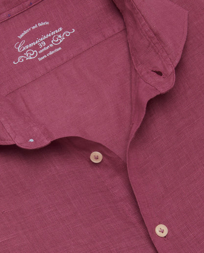 CCLLLLPBG017650PURPLE