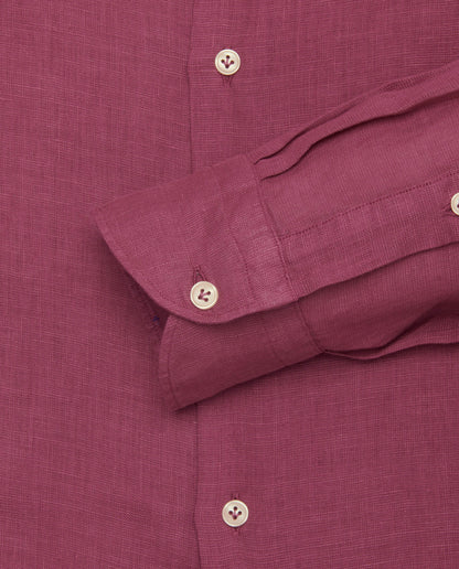 CCLLLLPBG017650PURPLE