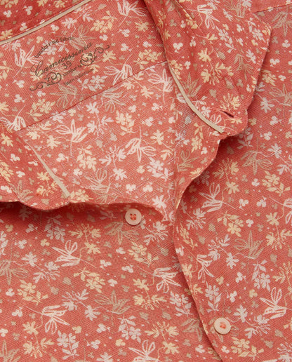 CCLLLLPBG027987LIGHT RED