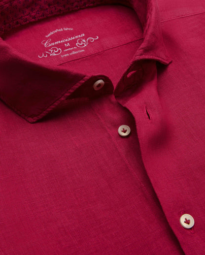 CCLLLNPBW017650MAGENTA