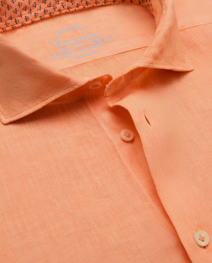 CCLLLNPBW017650PEACH
