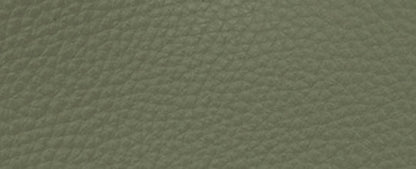 C9092-WILLOW TOTE BAG 24 IN COLORBLOCK WITH SIGNATURE CANVAS INTERIOR-V5/Army Green Multi