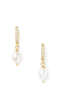 Clear/Gold