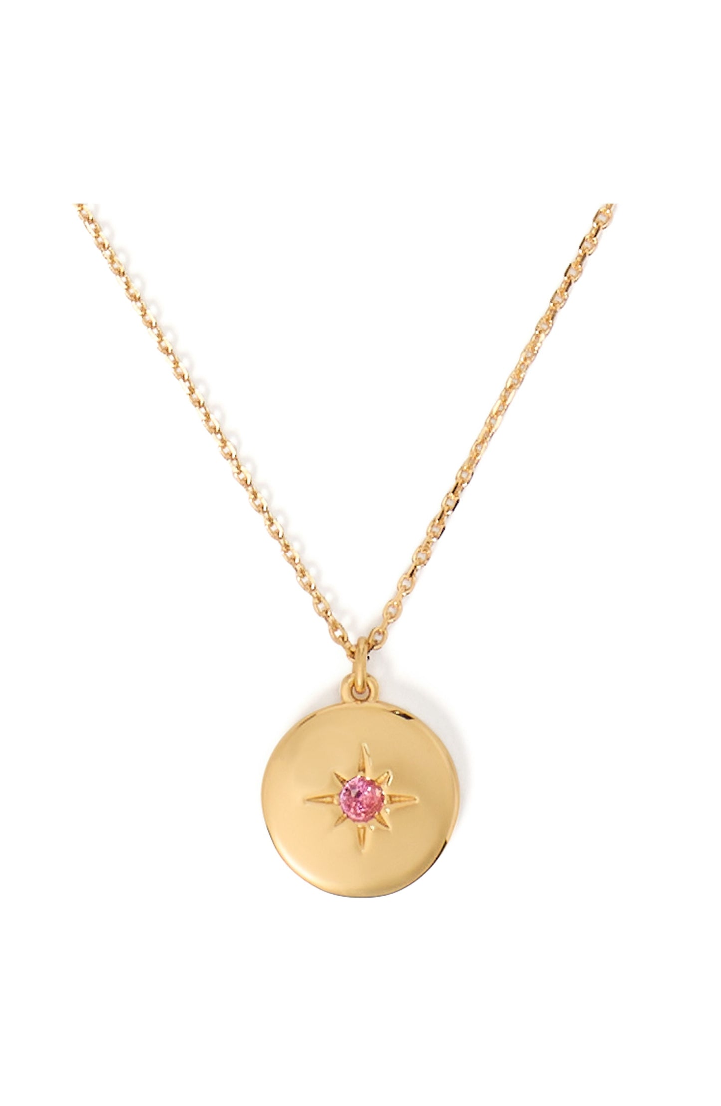 The Color Spark Collection Pink Peace Medallion Necklace