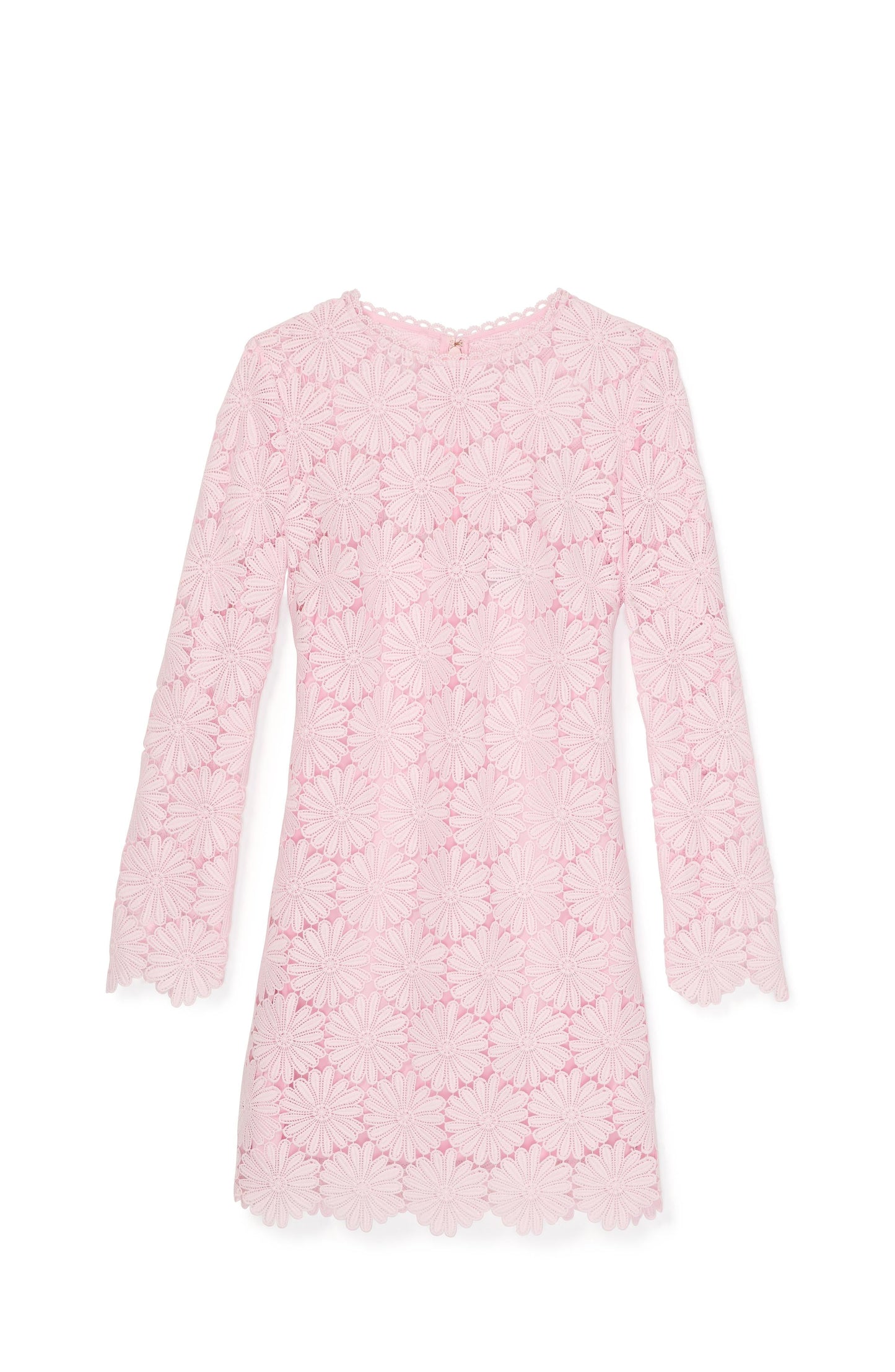 Daisy Lace Dress