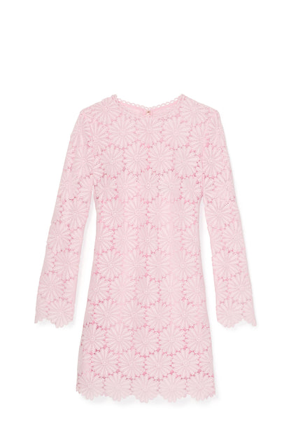 Daisy Lace Dress