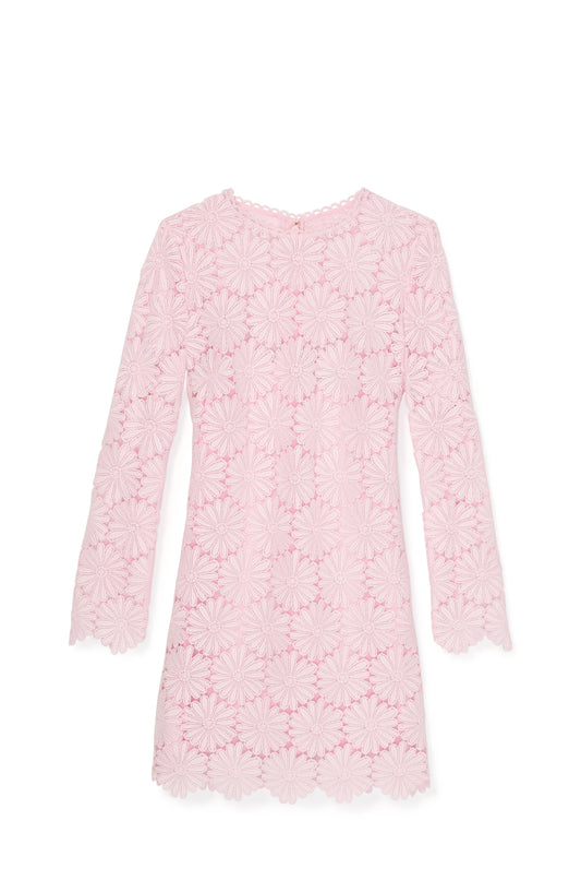 Daisy Lace Dress