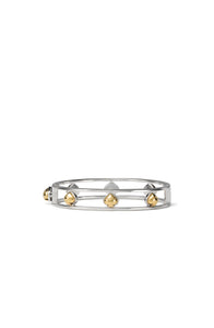 Silver/Gold