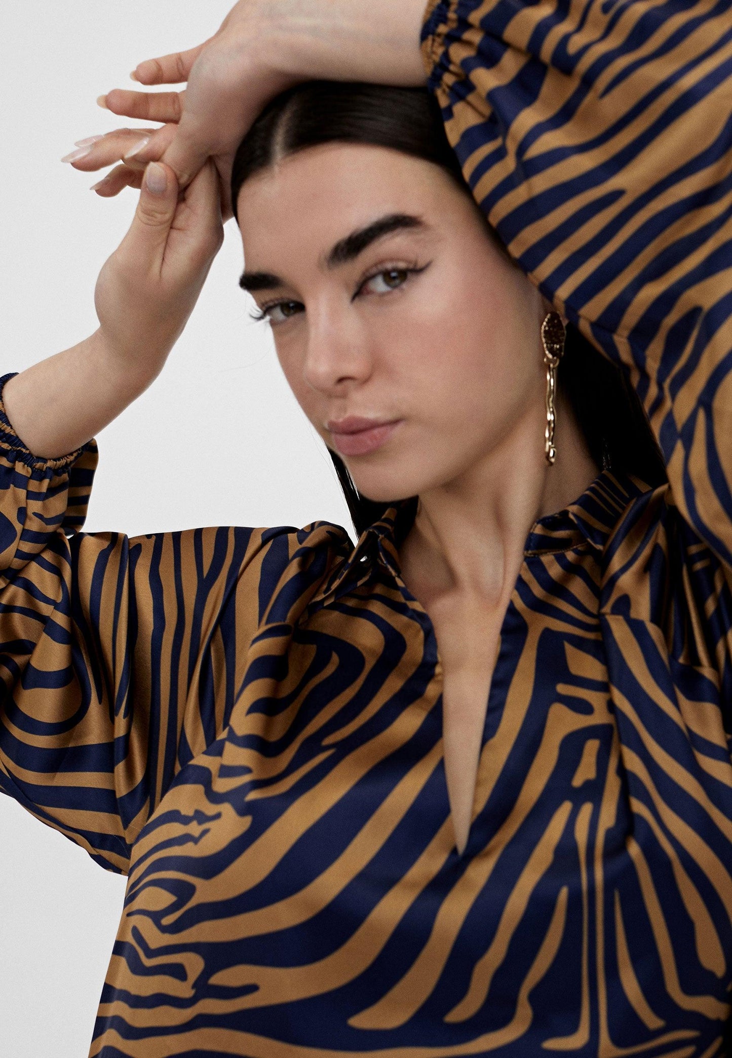 LS2416014-Brown-Blue-Zebra print dress