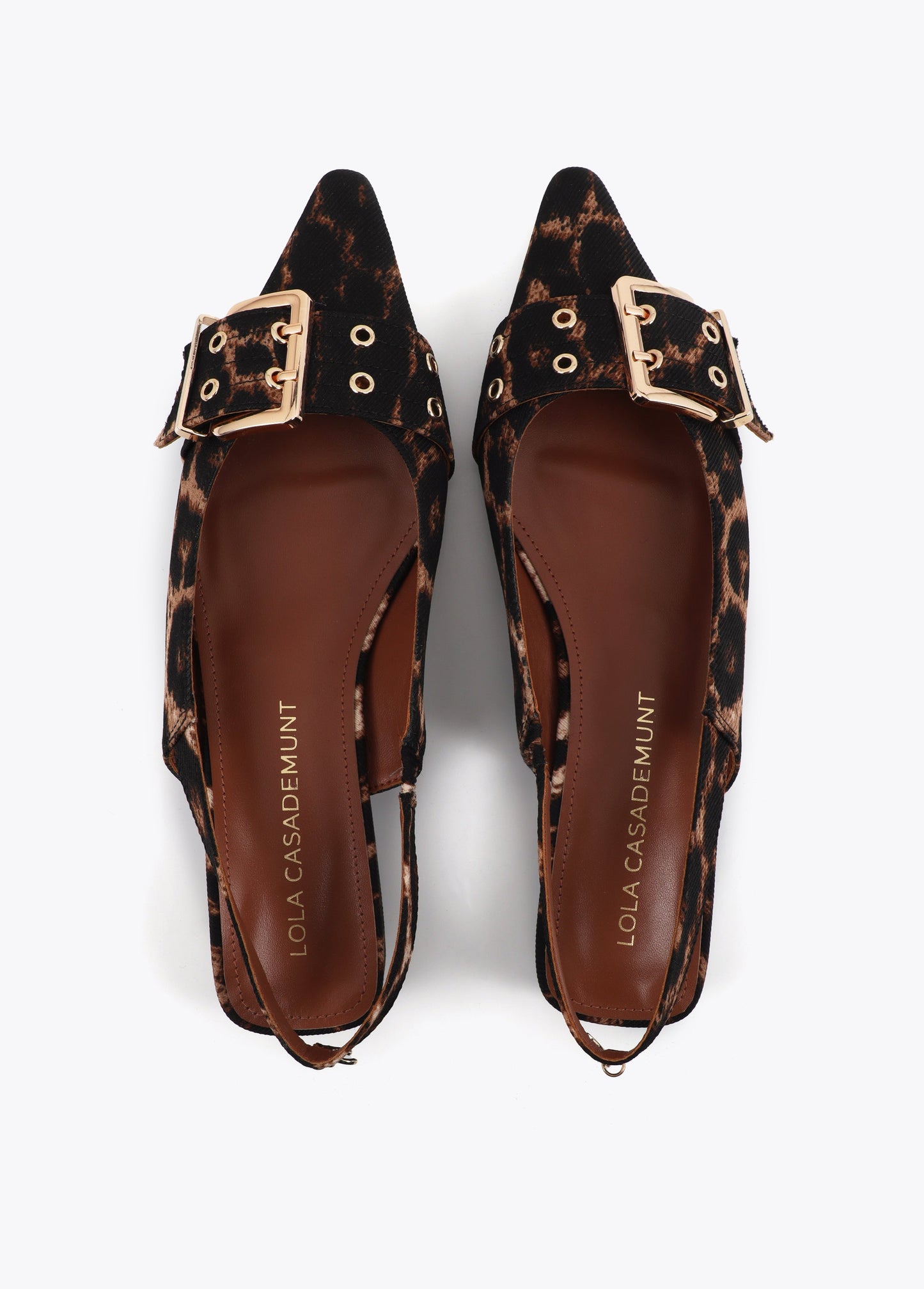 Flat Shoe with Strap and Customized Buckles